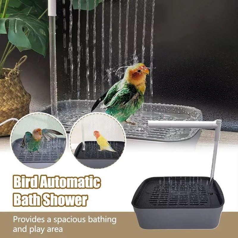 USB Electric Shower Box For Small Pets Lovebird Cockatiel Ferret Automatic Running Water Bird Batht 2