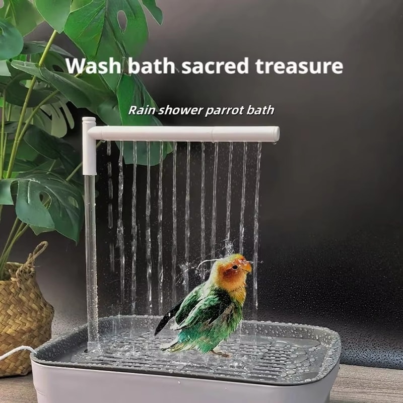 USB Electric Shower Box For Small Pets Lovebird Cockatiel Ferret Automatic Running Water Bird Batht 3