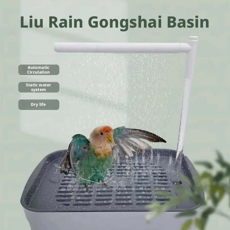 USB Electric Shower Box For Small Pets Lovebird Cockatiel Ferret Automatic Running Water Bird Batht 4