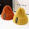 Breathable Chic Womens Knit Beanie Stretchy Acrylic Fiber EarWarming Winter Hat With Long Label De 2