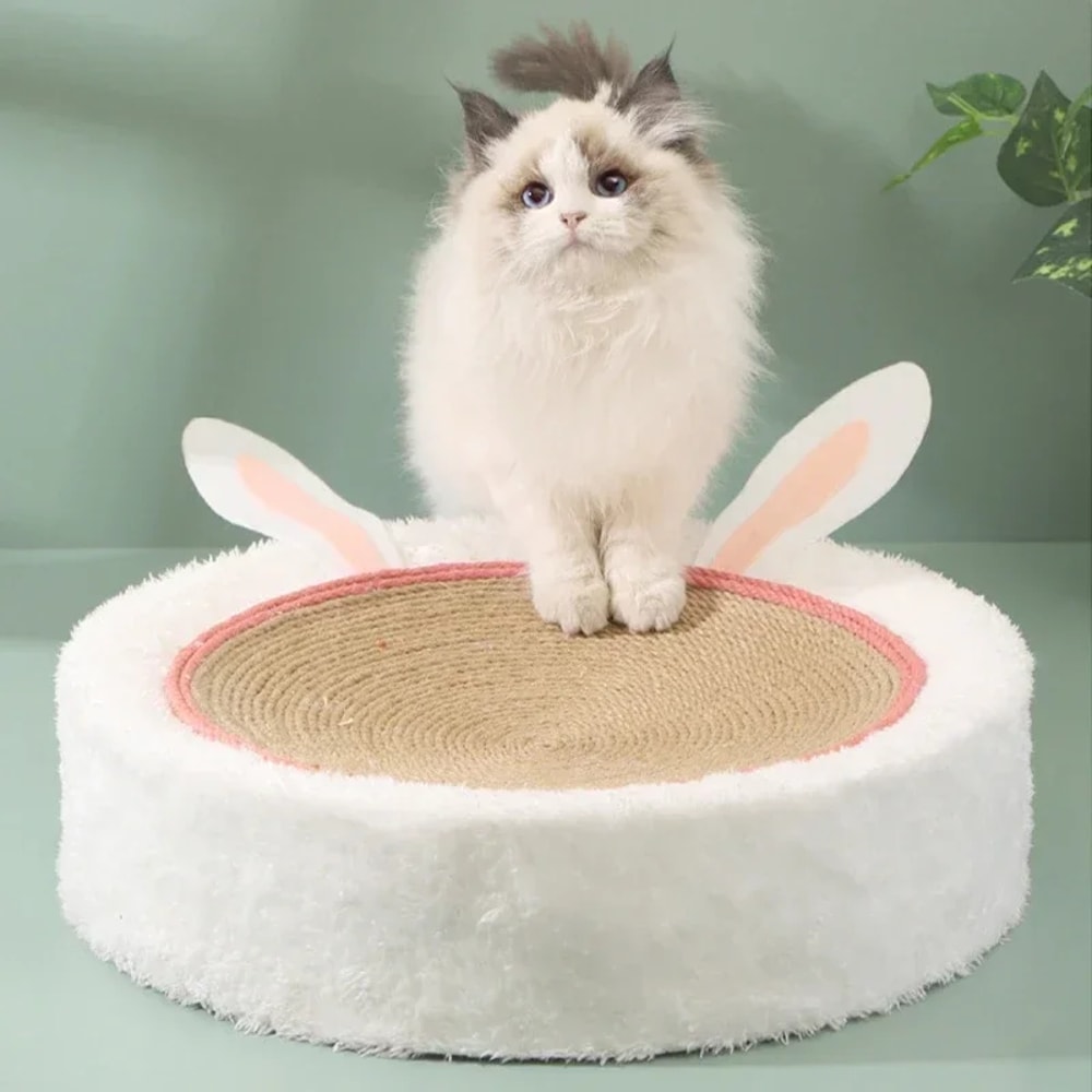 Cat Scratching Bed TwoinOne Scratching Board Hemp Rope Braid Plush Pet Bed Cat Exclusive 1