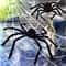 Giant Plush Spider Wire Plush Black And Multicolour Style For Party Or Halloween Decoration 4