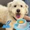 Slow Feeder Pet Lick Mat Yogurt Licking Plate Interactive Snack Bowl for Dogs and Cats