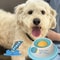 Slow Feeder Pet Lick Mat Yogurt Licking Plate Interactive Snack Bowl for Dogs and Cats