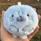 Cute Soft Seal Plush Keychains Animal Keychain Pendant For Kids Perfect Christmas New Year Gift 5