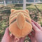 Cute Orange Cat Plush Toy Fluffy Kitty Stuffed Doll For Boys Girls Soft Home Decoration Birthda 3