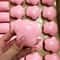 Cute Pink Cat Paw Fidget Toy Slow Rebound Stress Reliever For Girls 0