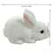 Squishy Cute Bunny Squeeze Toy Soft White Rabbit Fidget Stress Relief Toy For Kids Adults 4