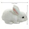 Squishy Cute Bunny Squeeze Toy Soft White Rabbit Fidget Stress Relief Toy For Kids Adults 4