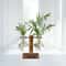 Wooden Frame Hydroponic Plant Vase Stylish Desktop Green Plant Holder Small Glass Flower Arrangemen 0