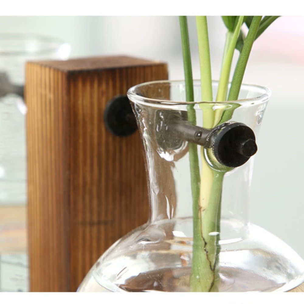 Wooden Frame Hydroponic Plant Vase Stylish Desktop Green Plant Holder Small Glass Flower Arrangemen 2