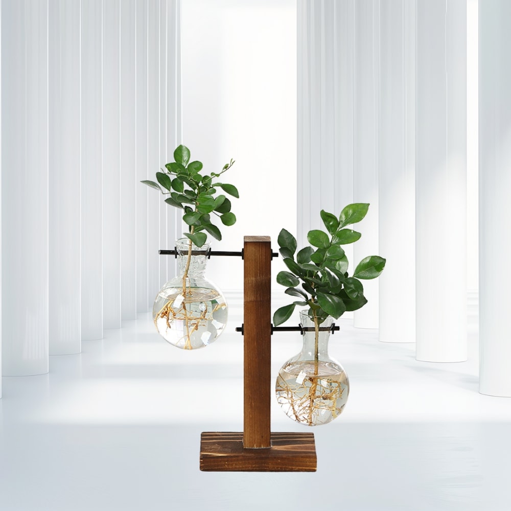 Wooden Frame Hydroponic Plant Vase Stylish Desktop Green Plant Holder Small Glass Flower Arrangemen 3