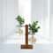 Wooden Frame Hydroponic Plant Vase Stylish Desktop Green Plant Holder Small Glass Flower Arrangemen 3