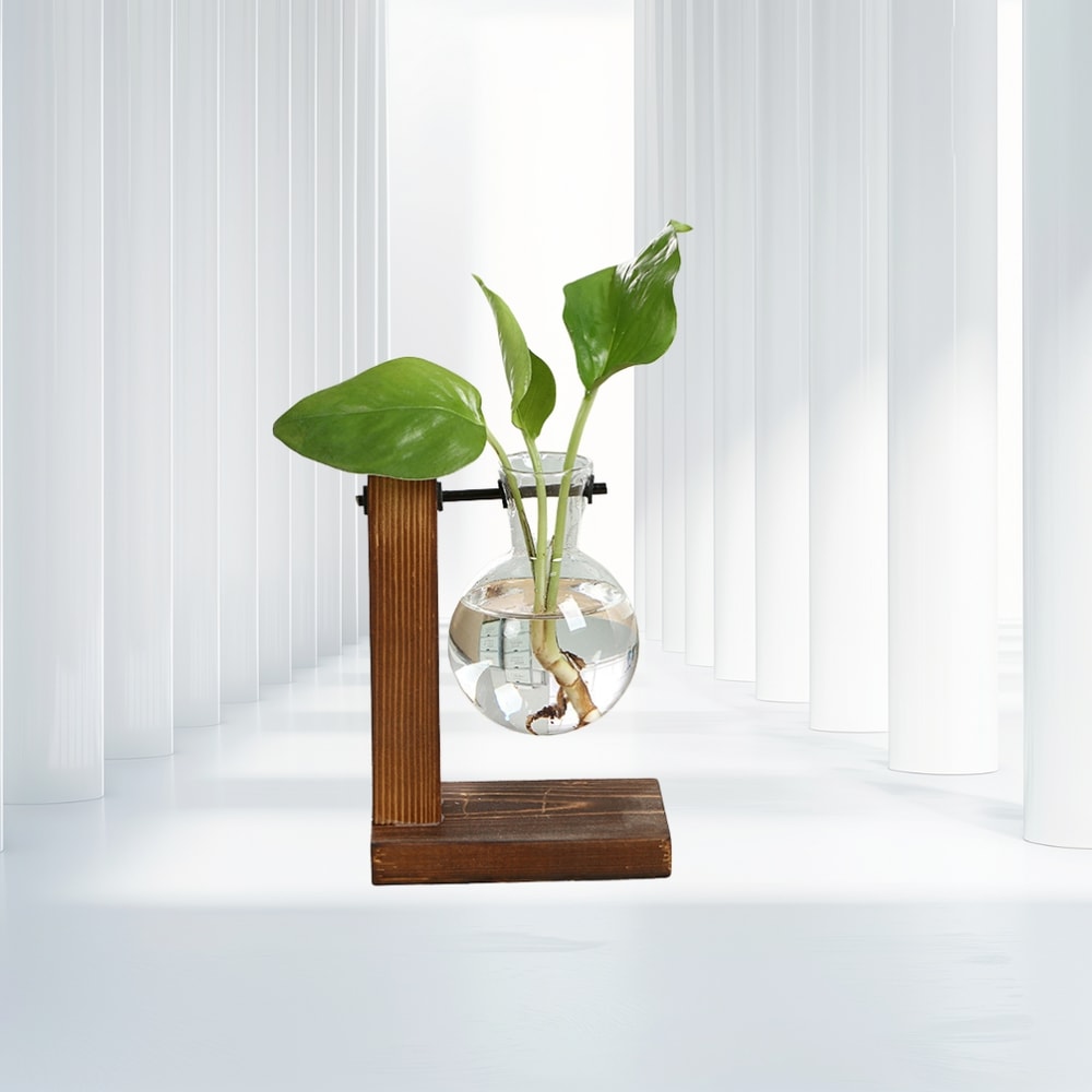 Wooden Frame Hydroponic Plant Vase Stylish Desktop Green Plant Holder Small Glass Flower Arrangemen 5