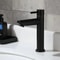 Stainless Steel Basin Faucet Modern Single Cold Water Tap in Black Silver Color Deck Mounted, Lengthened & Raised.