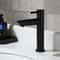 Stainless Steel Basin Faucet Modern Single Cold Water Tap in Black Silver Color Deck Mounted, Lengthened & Raised.