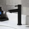 Stainless Steel Basin Faucet Modern Single Cold Water Tap in Black Silver Color Deck Mounted, Lengthened & Raised.