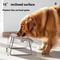 Stainless Steel AntiTip Pet Food Water Bowl For Cats Dogs Double Grain Bowls 4