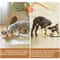 Raised Cat Feeder Stainless Steel Bowls With Wooden Stand Tilt For Comfortable Feeding 3
