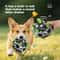 Interactive Pet Training Ball With Bell Sound Outdoor Dog Play Football Toy 1