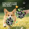 Interactive Pet Training Ball With Bell Sound Outdoor Dog Play Football Toy 1