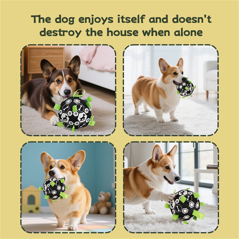 Interactive Pet Training Ball With Bell Sound Outdoor Dog Play Football Toy 3
