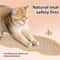 Pillow For Cats Teeth Grinding SelfHi And Claw Grinding Toy With Jute Scratching Post 3