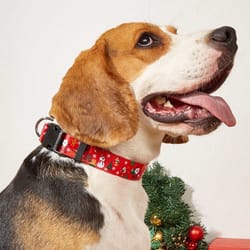 christmas pet leash with harness and walking rope for dogs adjustable chest strap and comfortable pet collar