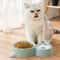 AntiSpill Automatic Feeding Drinking Bowl Set For Dogs And Cats 0