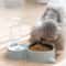 AntiSpill Automatic Feeding Drinking Bowl Set For Dogs And Cats 1