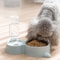 AntiSpill Automatic Feeding Drinking Bowl Set For Dogs And Cats 1