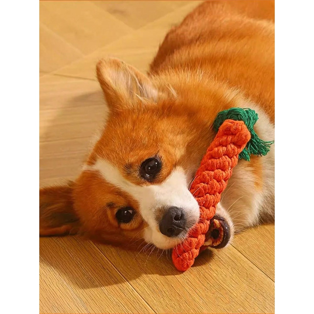 Durable Cotton Rope Dog Toy Hand-Woven Knot Grinding Teeth Resistant for Small and Medium-Sized Dogs