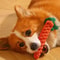 Durable Cotton Rope Dog Toy Hand-Woven Knot Grinding Teeth Resistant for Small and Medium-Sized Dogs
