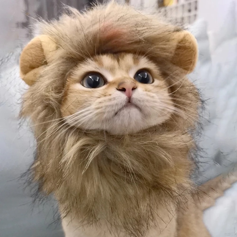 Adjustable Cat and Dog Lion Mane Hairpiece for Humorous Dress-up Play