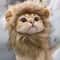 Adjustable Cat and Dog Lion Mane Hairpiece for Humorous Dress-up Play