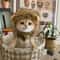 Adjustable Cat and Dog Lion Mane Hairpiece for Humorous Dress-up Play