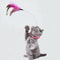 Collar Cat Teaser Toy Self-Entertainment Neck Collar with Feather & Bell for Cats