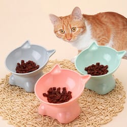 nordic style anti-tip pet bowl for cats cervical vertebra protection, plastic inclined mouth design