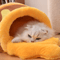Warm Honey Jar Cat Nest For Autumn And Winter Soft Comfortable And Breathable Puppy Bed 3