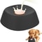 Anti-Choking Slow Feeder Dog Bowl Non-Slip Lick Toy for Liquid Treats & Bone Broth