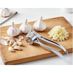 stainless steel garlic press & ginger crusher, easy squeeze design, rust resistant