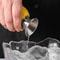 Stainless Steel Hand Juicer for Lemon, Orange, Lime & Citrus Manual Juice Squeezer with Screw Pourer