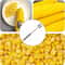 Manual Corn Peeler And Corn Kernel Stripper With Easy Grip Handle 2