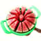 Creative Watermelon Slicer Stainless Steel Reusable Cutter for Easy Fruit Separation
