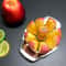 Stainless Steel Comfort Handle Apple Cutter & Divider Effortless Fruit & Vegetable Slicing Tool
