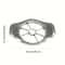 Stainless Steel Comfort Handle Apple Cutter & Divider Effortless Fruit & Vegetable Slicing Tool