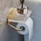 Gold Luxury Toilet Paper Holder WallMounted Acrylic Roll With Shelf Organizer 1