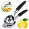 Extra-Large Manual Stainless Steel Lemon Squeezer Heavy Duty Hand Press Citrus Juicer