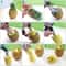 Premium Stainless Steel Pineapple Corer & Slicer Cutter Efficient Kitchen Gadget