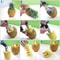 Premium Stainless Steel Pineapple Corer & Slicer Cutter Efficient Kitchen Gadget